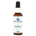 ٥꡼Elderberry7,5ml