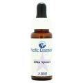 åץ롼Sitka Spruse7,5ml