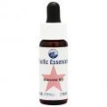 ϡ٥ȥ꡼ Harvest Lily(kit)7,5ml