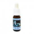 ޥʥ[Amazonite]
