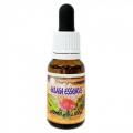 ०ӥ塼Womb with a View15ml