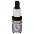 ۥ磻ȥåWhite Orchid15ml