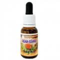åХSludge Buster15ml