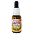饬ꥹGulaga Crystal15ml