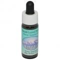 饦ɥ꡼֥ɥǥ塼Round-Leaved Sundewʥ饹 7,5ml