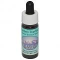 Ρȥ֥쥤Northern Twaybladeʥ饹 7,5ml