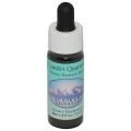 ॺLamb's Quartersʥ饹 7,5ml