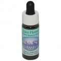 졼եLace Flowerʥ饹 7,5ml