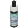 ֥ɡƥLabrador Teaʥ饹 7,5ml