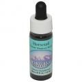 ۡƥHorsetailʥ饹 7,5ml