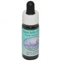 ꡼٥륺֥Green Bells of Irelandʥ饹 7,5ml