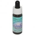 ǥ󥳥ꥹGolden Corydalisʥ饹 7,5ml