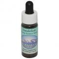 ǥ饤Dandelionʥ饹 7,5ml