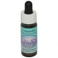 ޥɥComandraʥ饹 7,5ml