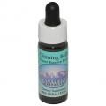 㥤ߥ󥰡٥륺Chiming Bellsʥ饹 7,5ml