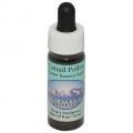 ƥ롡ݥCattail Pollenʥ饹 7,5ml