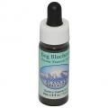 ܥ֥롼٥꡼Bog Blueberryʥ饹 7,5ml