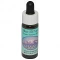 ֥롼աBlue Elf Violaʥ饹 7,5ml