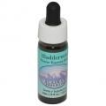 ֥Bladderwortʥ饹 7,5ml