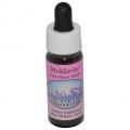 ХMoldaviteʥ饹 7,5ml