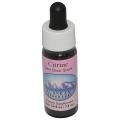 ȥCitrineʥ饹 7,5ml