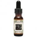 ֥åۥå Black Cohosh
