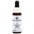 롡Coral(kit)7,5ml