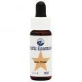 ѡࡡSea Palm(kit)7,5ml