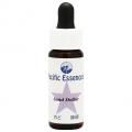 ɥ顼Sand Dollar(kit)7,5ml