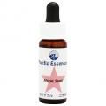 ࡼ󥹥ͥ롡Moonsnail(kit)7,5ml