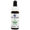 ͥ͡Anemone(kit)7,5ml