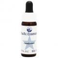 ǥƥåCandystick(kit)7,5ml