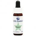 ץ󥿥Plantain(kit)7,5ml