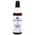Ρ٥꡼Snowberry(kit)7,5ml