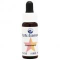 ĥ٥ɡGoatsbeard(kit)7,5ml