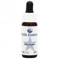 ֥롼ޥBlue Camas(kit)7,5ml