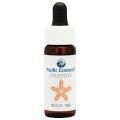 쥹(ŷ) Celestite  7,5ml