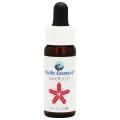 () Emerald7,5ml