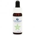 եå() Fuchsite7,5ml