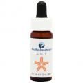 饤(ơ) Iolite7,5ml