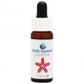 ĥ() Kunzite7,5ml