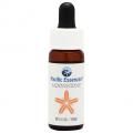 ࡼ󥹥ȡ(Ĺ) Moonstone7,5ml