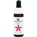ӡ(ȶ) Ruby7,5ml