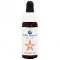 ꥫ(ꥫ) Silica7,5ml