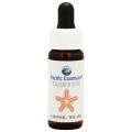 () Tigers Eye7,5ml