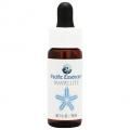 ٥饤() Wavellite7,5ml