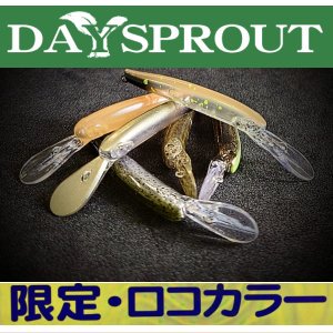 ディスプラウト イーグルプレーヤー50slim/GJ【限定ロコカラー