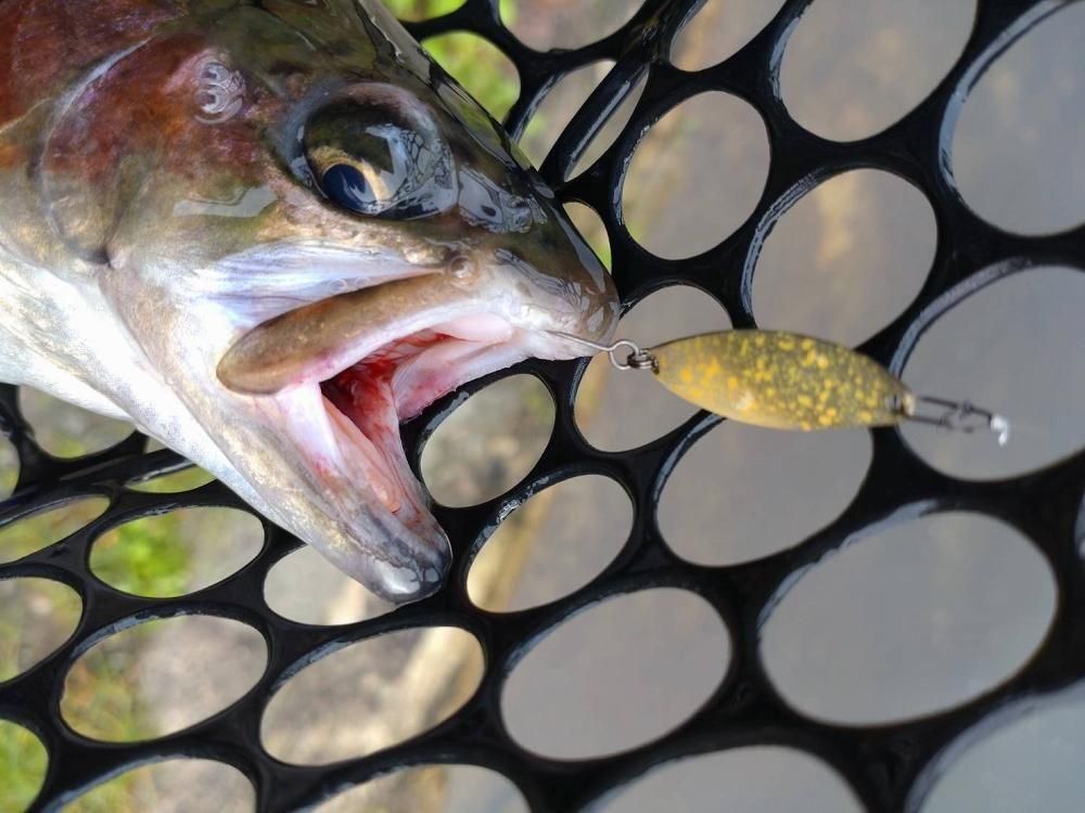 スキマル ☆エリアトラウトルアーならFishing Shop スキマル☆