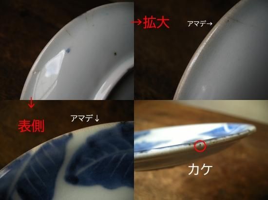 伊万里焼 中皿 猫 - ANTIQUE belle WEB SHOP