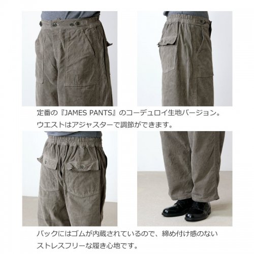 Ordinary Fits (オーディナリーフィッツ) JAMES PANTS corduroy